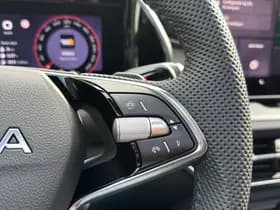 Škoda Kodiaq thumbnail 16