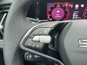 Škoda Kodiaq thumbnail 15