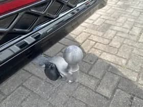 Volkswagen Tiguan thumbnail 12
