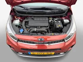 Kia Picanto thumbnail 14