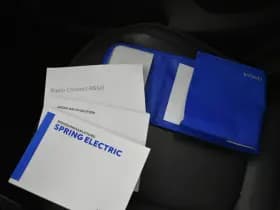 Dacia Spring Comfort Plus Camera Park Censoren CCS Lader (Orange Pack) 27 kWh thumbnail 6