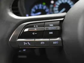 Mazda CX-30 2.0 e-SkyActiv-X M Hybrid Luxury Cam Leer EL aKlep + Stoelen Navi Dhoek Detectie thumbnail 21