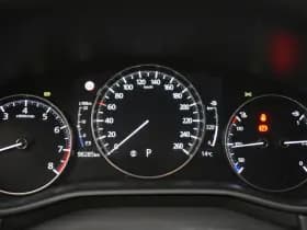 Mazda CX-30 2.0 e-SkyActiv-X M Hybrid Luxury Cam Leer EL aKlep + Stoelen Navi Dhoek Detectie thumbnail 28