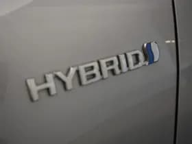 Toyota RAV4 2.5 Hybrid AWD Bi-Tone Innovation Panodak Trekhaak 1650kg Camera thumbnail 44