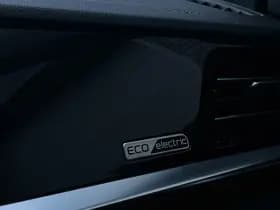 Kia E-Niro ExecutiveLine 64 kWh thumbnail 21