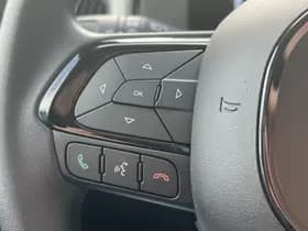 Fiat Panda 1.0 Hybrid Pandina | Cruise Control | Carplay | Airco thumbnail 16