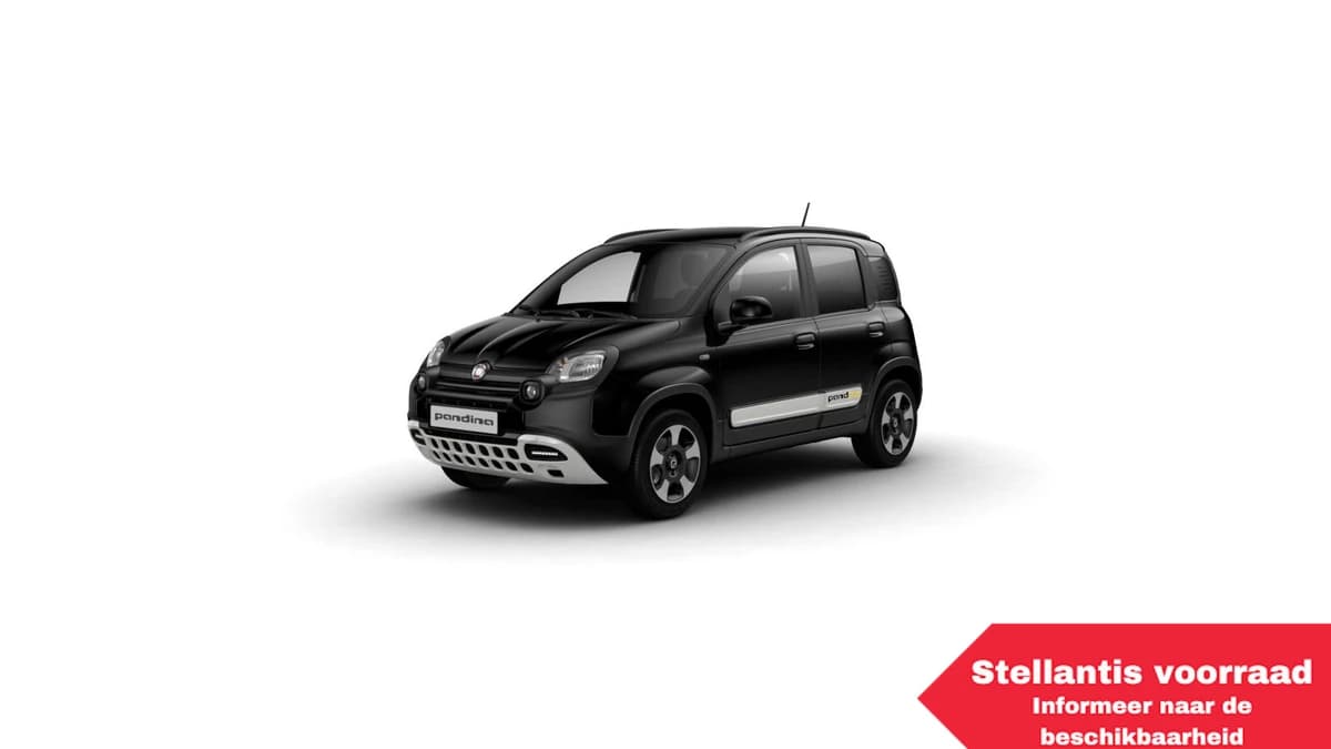 Fiat Pandina Pandina Cross — foto 1