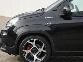 Fiat Panda 1.0 Hybrid 70 PK Sport | Carplay | PDC | Privacy | 5zits | 1ste thumbnail 8