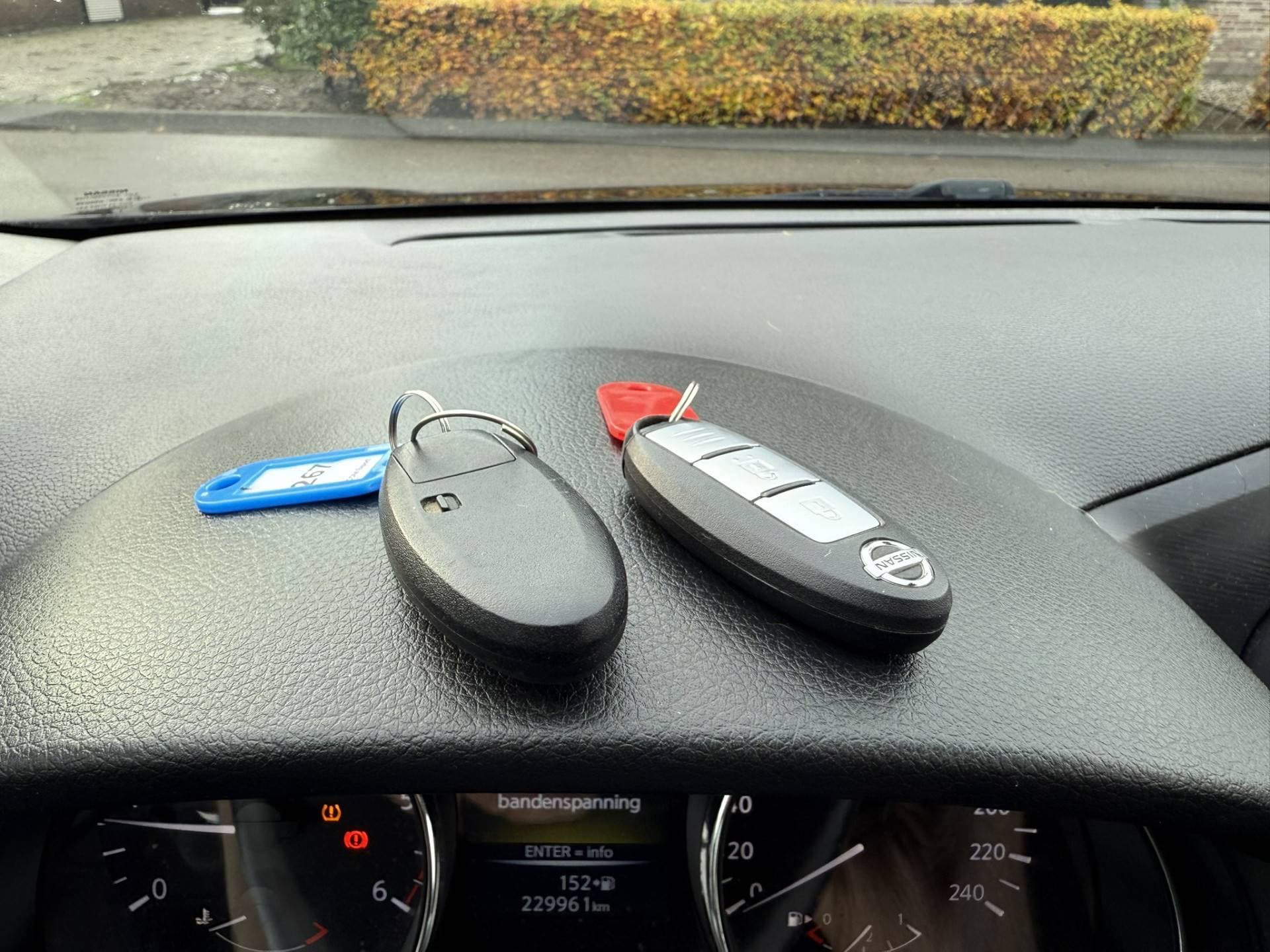 Nissan Pulsar thumbnail 15