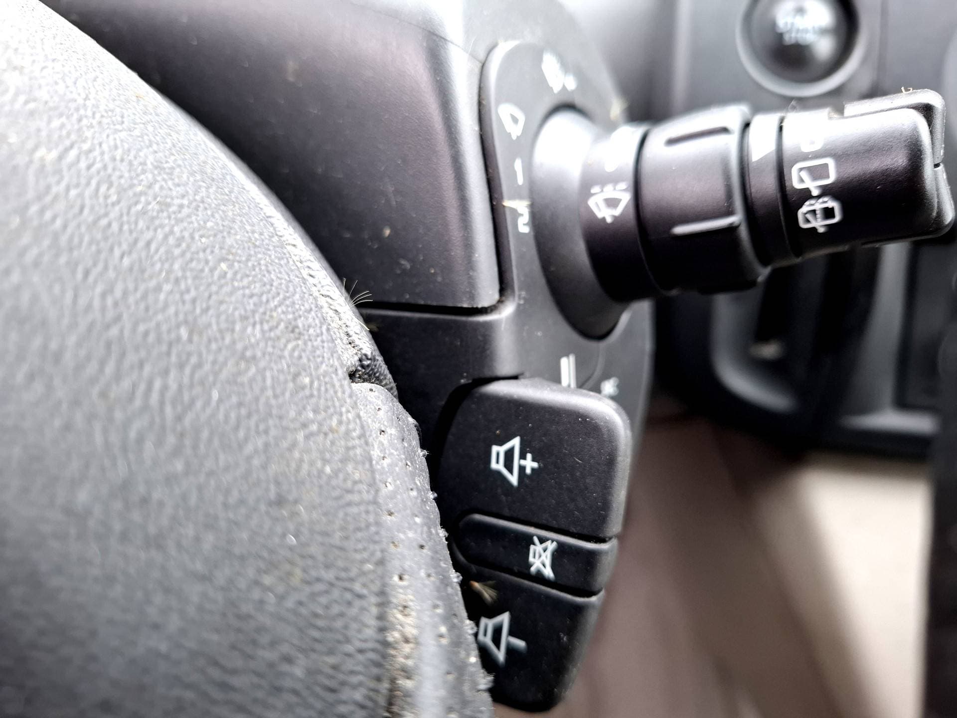 Renault Scénic thumbnail 11