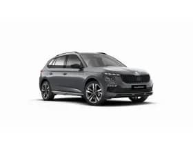 Škoda Kamiq — 2026, 10 km