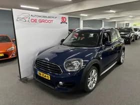 Mini Mini Countryman