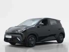 BYD Dolphin (2026)