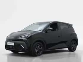 BYD Dolphin (2026)