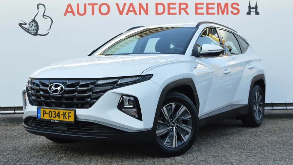 Meer informatie (2022) — foto 1