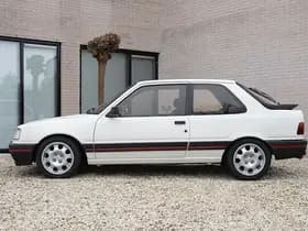 Peugeot 309 — 1989, 190.420 km