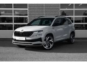 Škoda Karoq — 2025, 11.000 km
